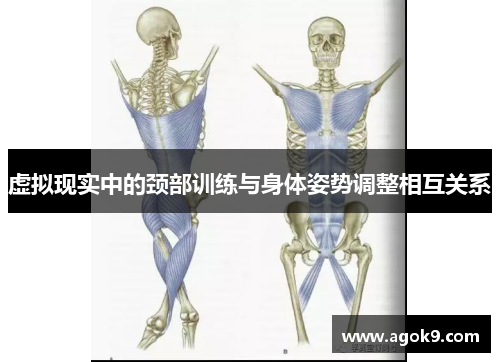 虚拟现实中的颈部训练与身体姿势调整相互关系